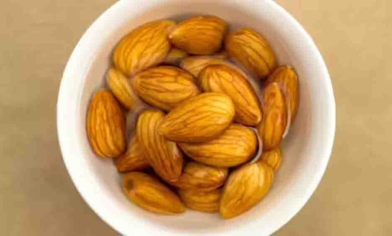 न्यूरोलॉजिस्ट-ने-बताए-बादाम-खाने-के-4-सबसे-सही-तरीके,-दिमाग-की-ताकत-और-याददाश्त-बढ़ाने-के-लिए-ऐसे-करें-सेवन