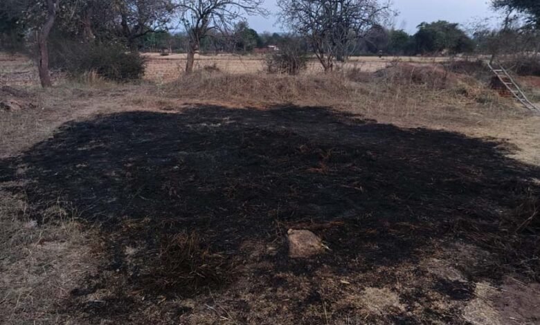 आग-का-कहर-किसान-की-फसल-जलकर-खाक