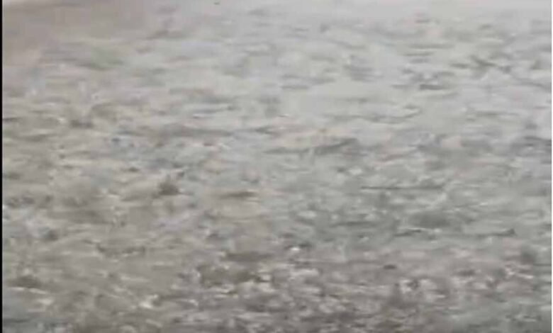 ग्वालियर-में-मौसम-का-यू-टर्न:-धूप-के-बाद-ओलों-की-मार,-‘बर्फबारी’-जैसे-नजारे-से-सहमा-शहर