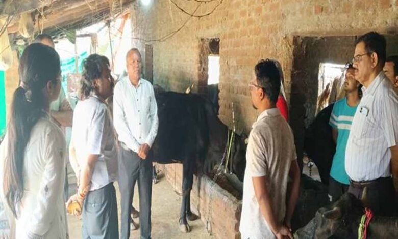 पशुओं-में-नस्ल-सुधार-का-कार्य-बेहतर-ढंग-से-करें-:-प्रमुख-सचिव-उमराव