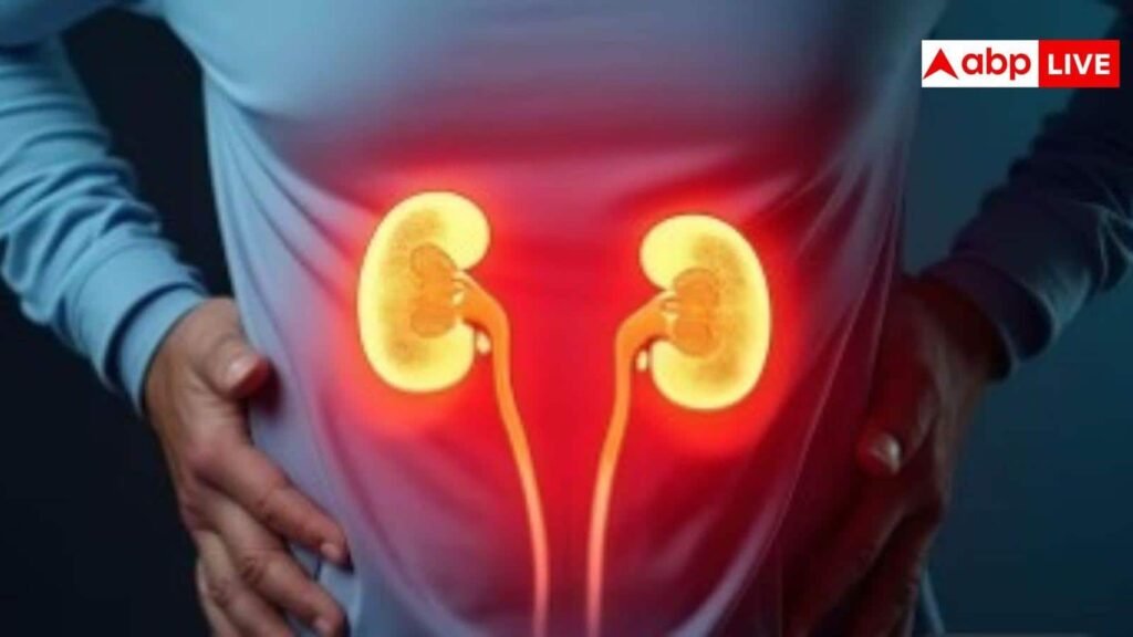 kidney-health-problems:-किडनी-पर-तनाव-के-शुरुआती-लक्षण-जिन्हें-लोग-अक्सर-कर-देते-हैं-नजरअंदाज;-समय-रहते-पहचानें