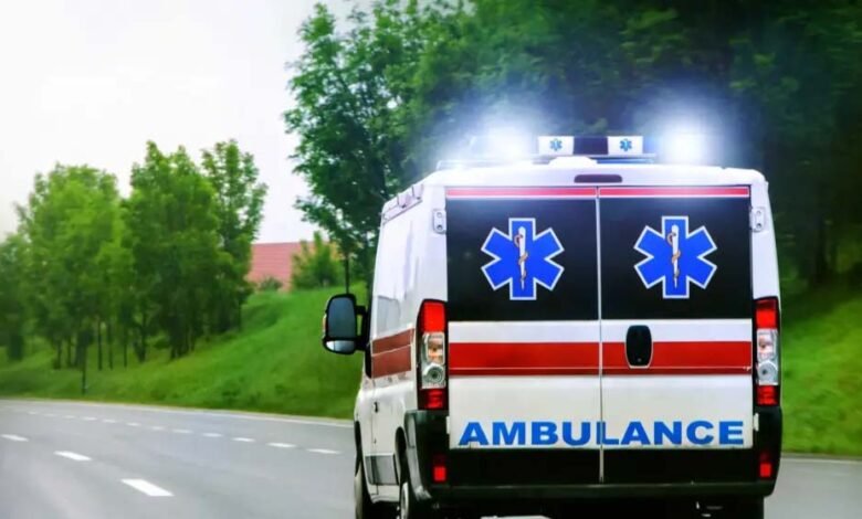 बिना-पेट्रोल-और-बिजली-के-दौड़ेगी-गाड़ी,-पेश-हुई-दुनिया-की-पहली-सोलर-एंबुलेंस-stella-juva