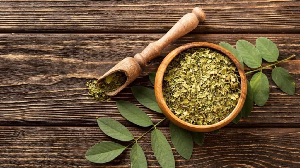 moringa-leaves-benefits:-मोरिंगा-के-पत्ते-खाने-से-दूर-हो-जाती-हैं-ये-बीमारियां,-आज-से-ही-शुरू-कर-दें-इस्तेमाल