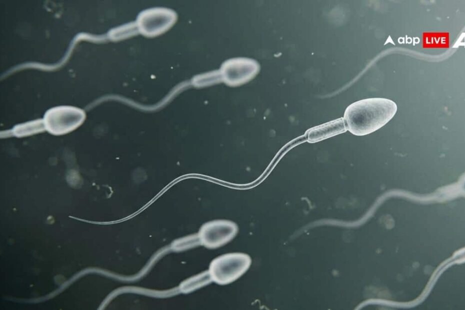 महिला-ने-कोमा-में-पड़े-पति-का-स्पर्म-सुरक्षित-रखने-की-मांग-की,-दिल्ली-हाई-कोर्ट-करेगा-सुनवाई