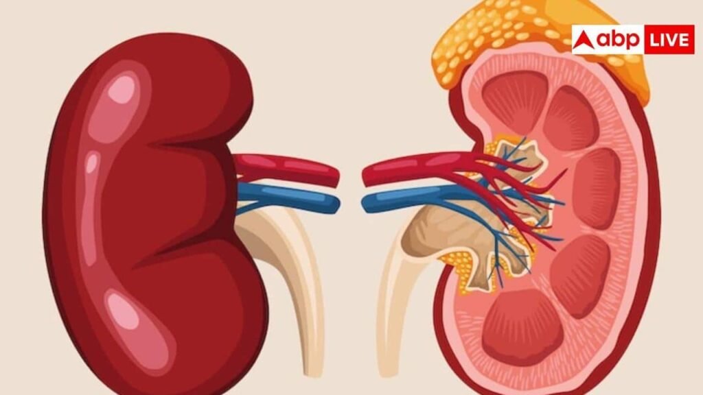 kidney-health:-यूरिक-एसिड-vs-क्रिएटिनिन…किडनी-की-हेल्थ-के-दो-अहम-संकेत,-जिन्हें-समझना-है-जरूरी 