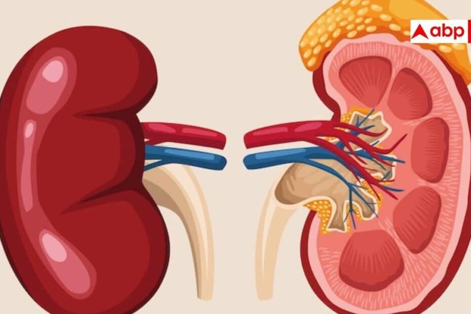 kidney-health:-यूरिक-एसिड-vs-क्रिएटिनिन…किडनी-की-हेल्थ-के-दो-अहम-संकेत,-जिन्हें-समझना-है-जरूरी 