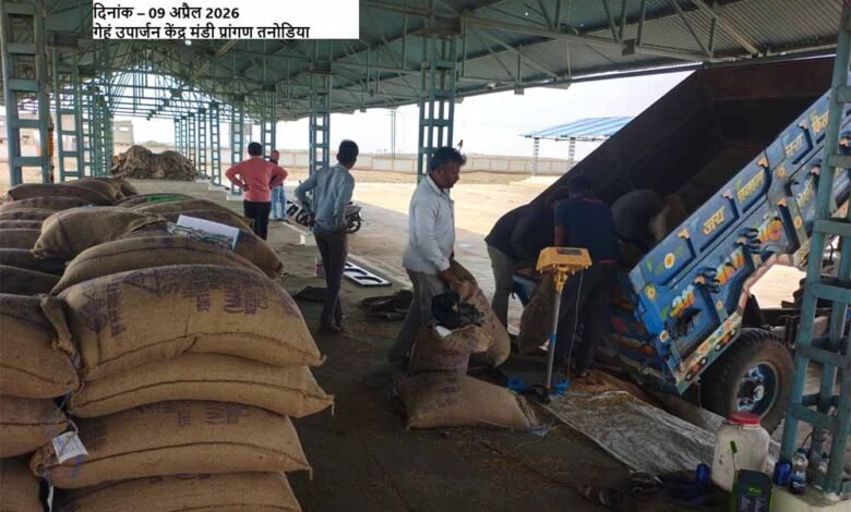 समर्थन-मूल्य-पर-पहले-दिन-हुई-1616-क्विंटल-गेहूँ-की-खरीदी-:-खाद्य-मंत्री-राजपूत