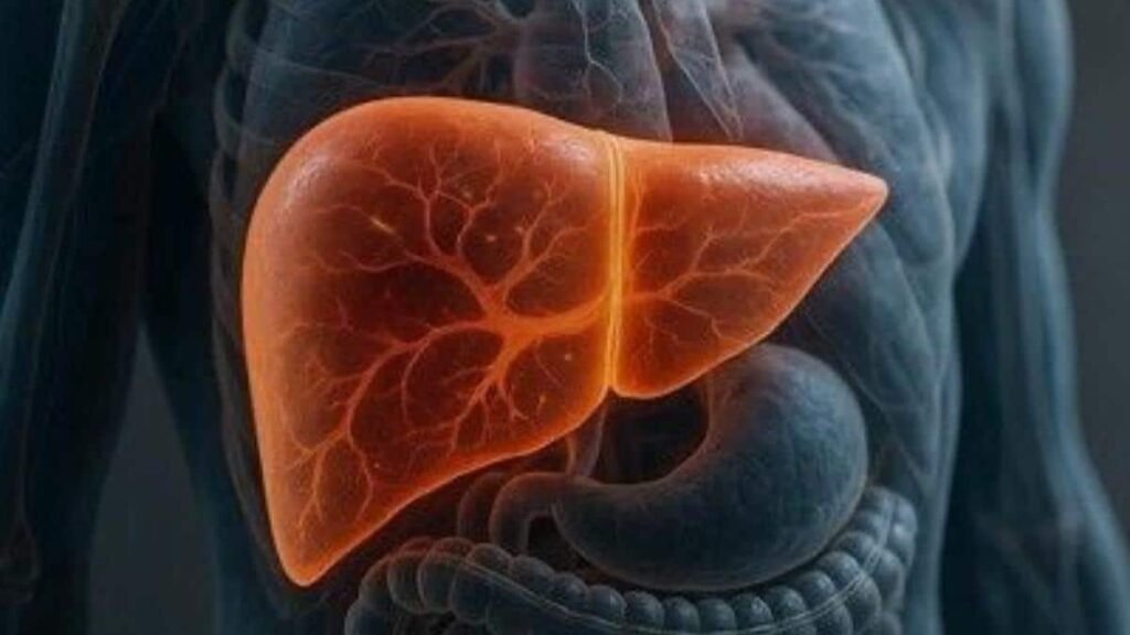 fatty-liver-disease:-क्या-बिना-शराब-पिए-डैमेज-हो-सकता-है-लिवर,-जानें-आपकी-रोजाना-की-कौन-सी-गलतियां-पड़-रहीं-भारी?