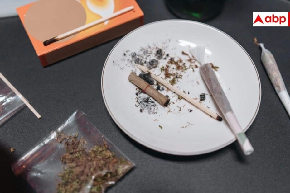 smoking-kills:-सिगरेट-और-गांजा-पीने-वालों-का-सिकुड़-रहा-दिमाग,-नई-स्टडी-में-चौंकाने-वाला-खुलासा