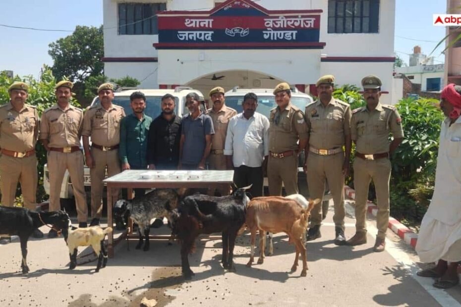gonda-news:-गोंडा-में-बकरी-चोरी-गैंग-का-पर्दाफाश,-स्कॉर्पियो-से-वारदात,-4-शातिर-गिरफ्तार,-कैश-भी-बरामद
