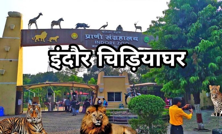 इंदौर-चिड़ियाघर-में-बनेगी-अंडर-वॉटर-टनल,-दुबई-और-सिंगापुर-की-तर्ज-पर-35-करोड़-का-मॉडल