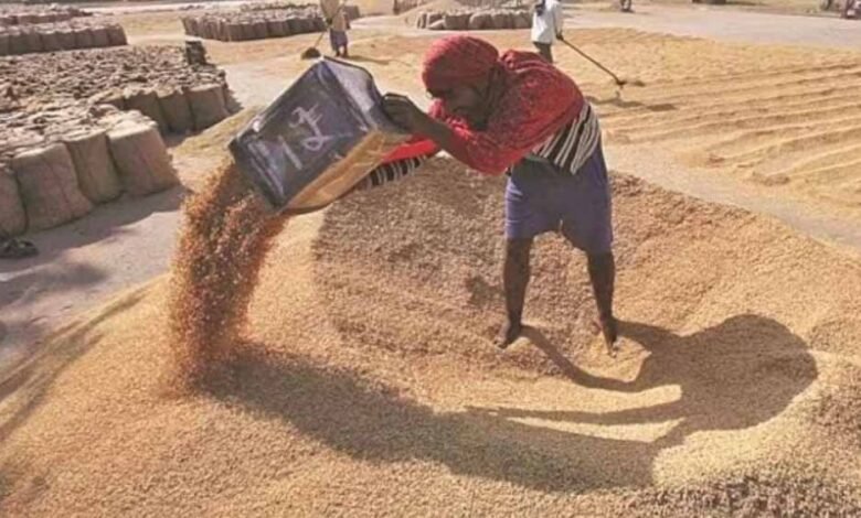 ग्वालियर-में-14-हजार-से-अधिक-किसान-सरकारी-समर्थन-मूल्य-पर-बेचेेंगे-गेहूं