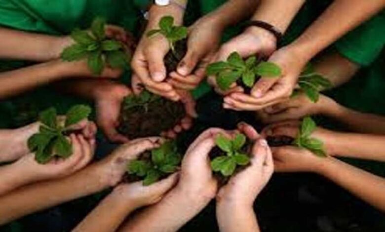 शहर-को-ग्रीन-बनाने-के-लिए-लगाए-जाएंगे-25-लाख-पौधे,-2-साल-में-पूरा-होगा-लक्ष्य,-ठेकेदार-की-देखरेख-में-होगी-प्रक्रिया