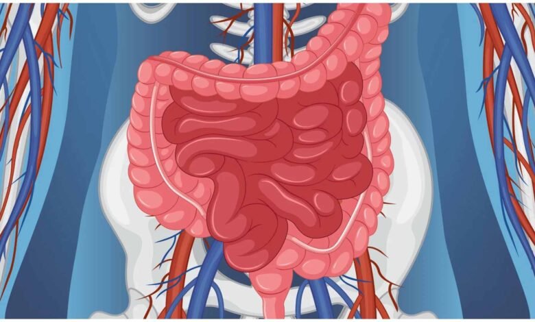 ज्यादा-तीखा-खाना-पड़-सकता-है-भारी,-पेट-और-पाचन-पर-डालता-है-असर