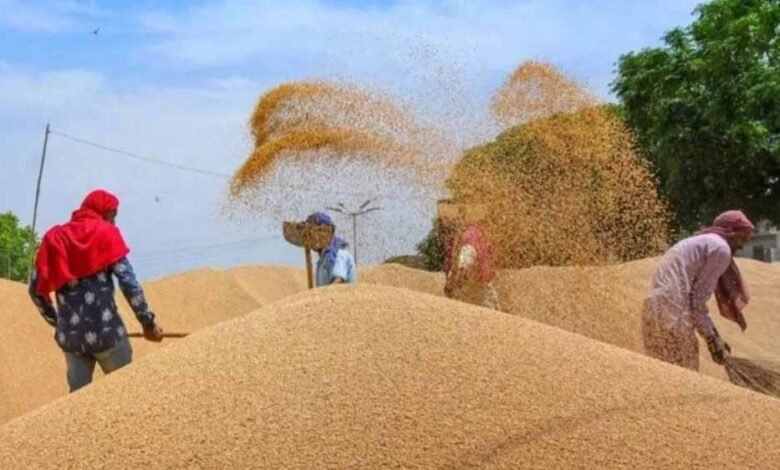 मध्यप्रदेश-में-गेहूं-msp-और-बोनस-पर-खरीद-शुरू,-रजिस्ट्रेशन-वाले-किसान-होंगे-मालामाल