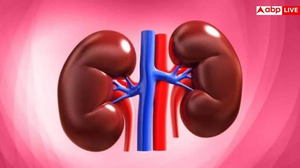 health-warning-signs:-शरीर-के-इन-छोटे-संकेतों-को-न-करें-इग्नोर,-वरना-डैमेज-हो-सकते-हैं-लिवर-और-किडनी