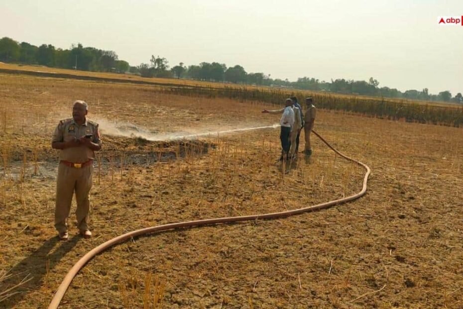ayodhya-news:-इंजीनियरों-की-लापरवाही-से-सैकड़ों-बीघा-फसल-जलकर-खाक,-फूटा-किसानों-का-गुस्सा