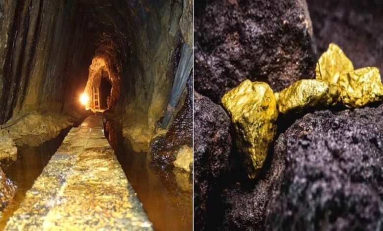 दुनिया-में-तेल-संकट-के-बीच-भारत-को-मिला-खजाना,-42.5-टन-सोने-का-भंडार,-डॉलर-की-बारिश-अगले-माह-से