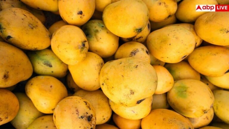 mango-for-diabetes:-डायबिटीज-में-आम-खा-सकते-हैं-या-नहीं?-एक्सपर्ट-से-जानें-सेहत-से-जुड़ी-बात