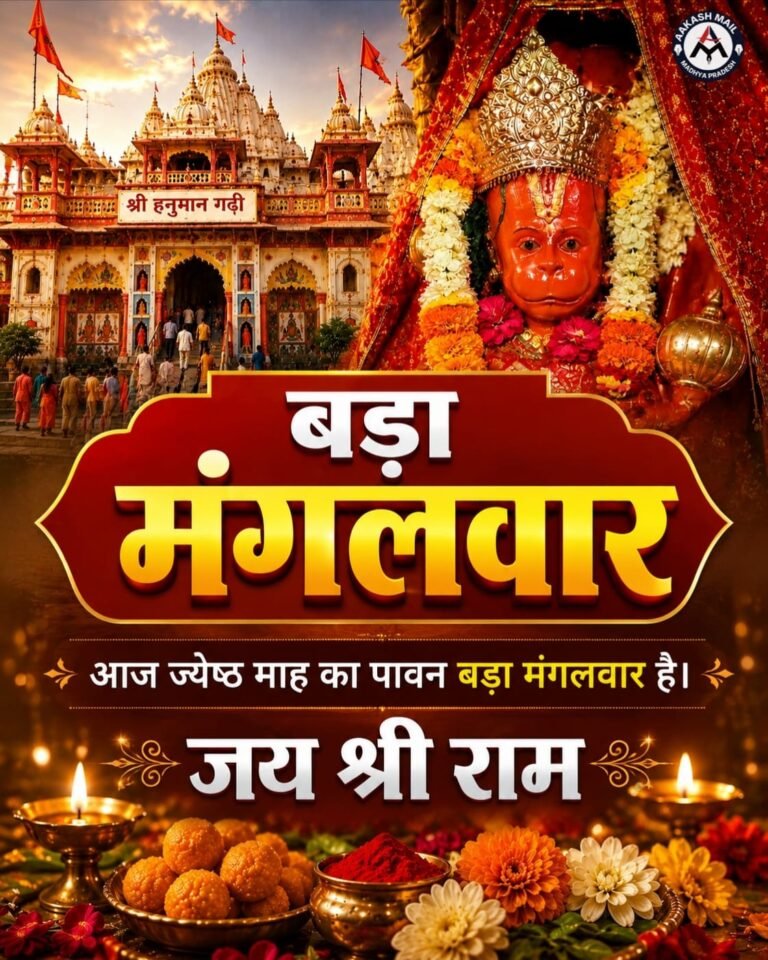 WhatsApp Image 2026-05-12 at 12.12.05 PM