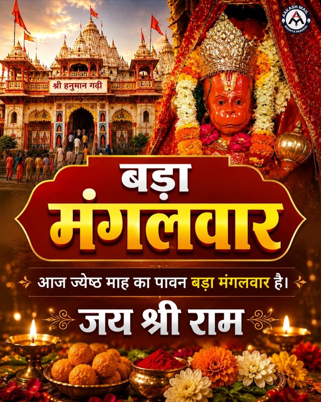 WhatsApp Image 2026-05-12 at 12.12.05 PM