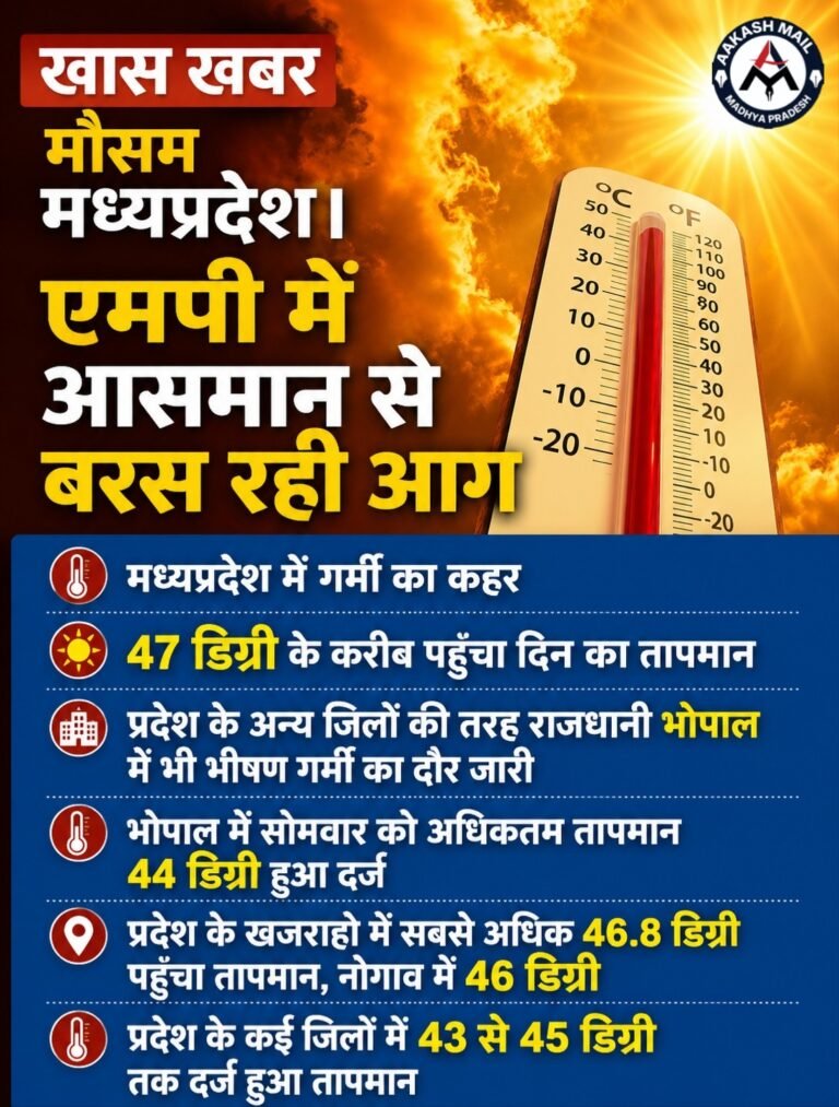 WhatsApp Image 2026-05-19 at 12.16.48 PM