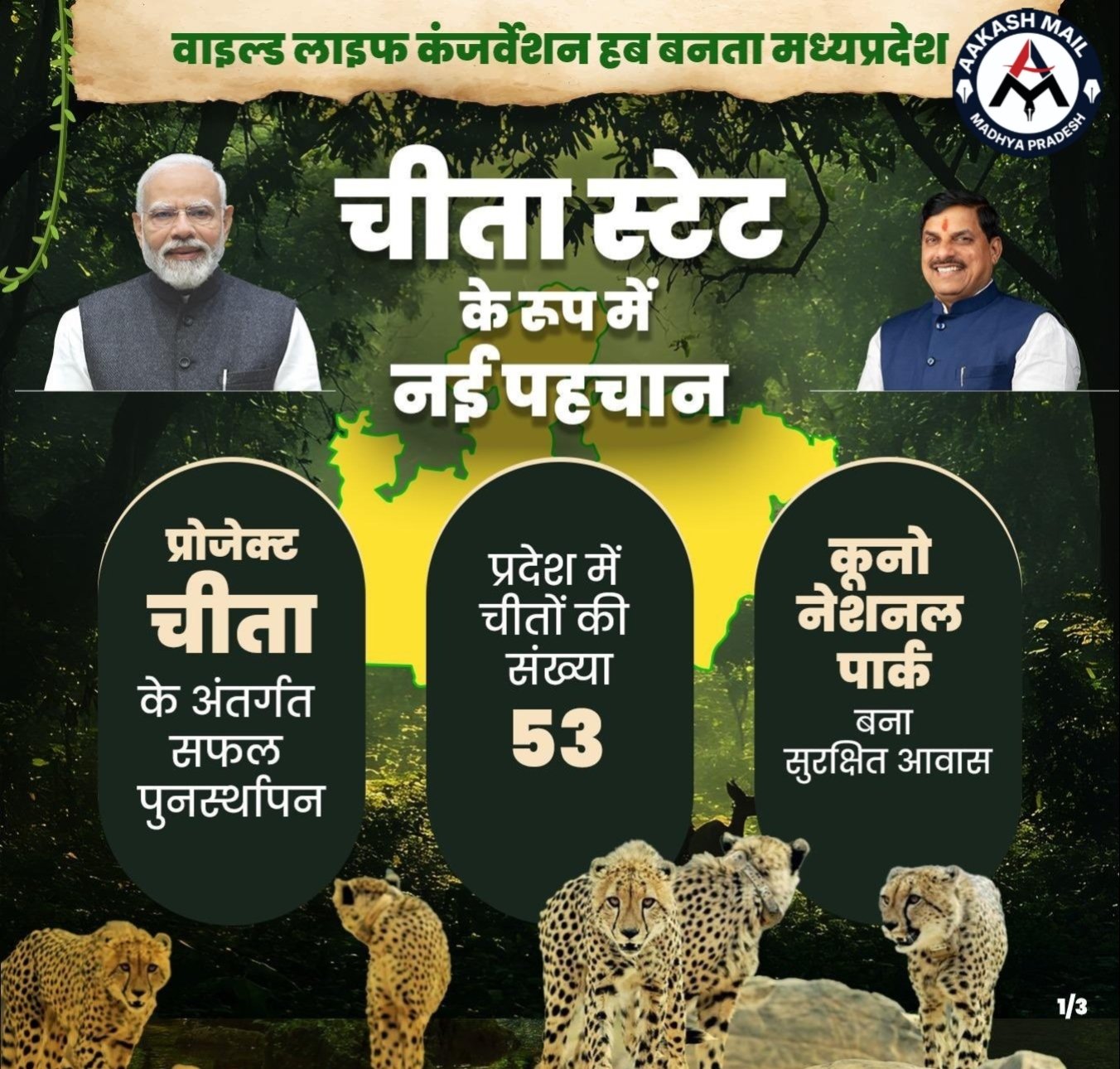 WhatsApp Image 2026-05-23 at 4.37.45 PM