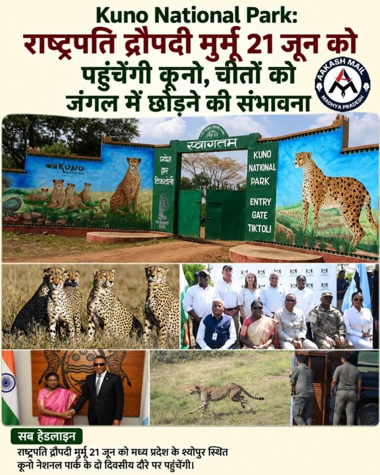 WhatsApp Image 2026-06-11 at 5.03.13 PM